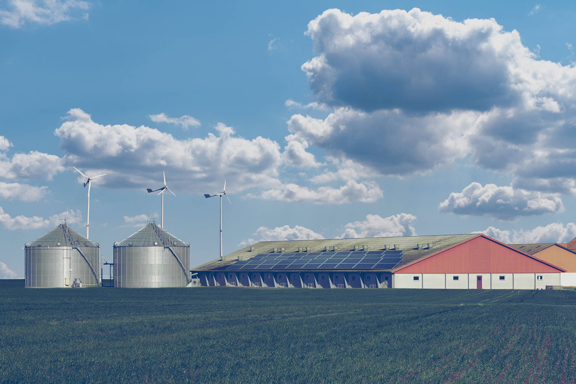 Dairy farm using renewable energy, solar panels and wind turbines
